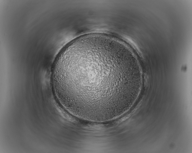 X0000091371260200708171537