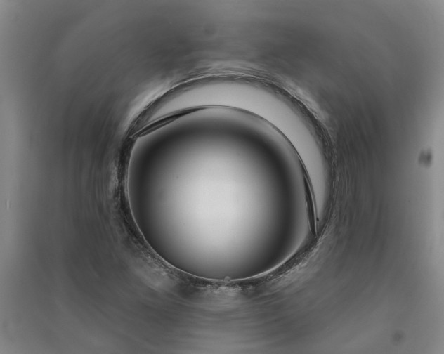 X0000091371261200708171537