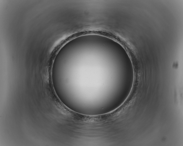 X0000091371262200708171537