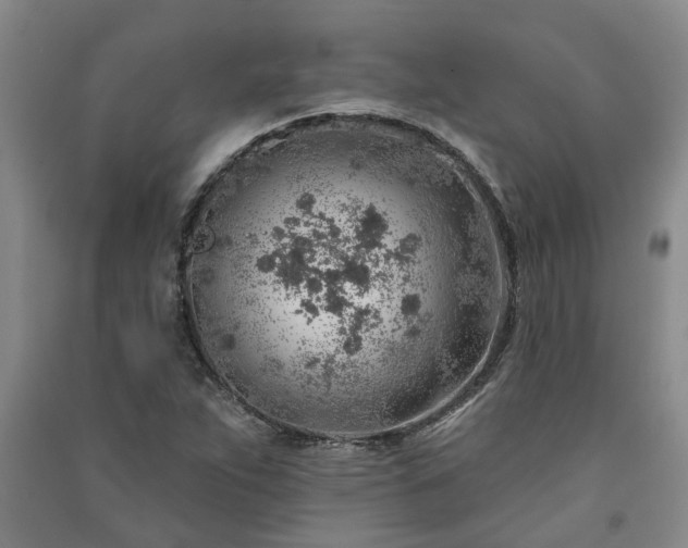 X0000091371263200708171537