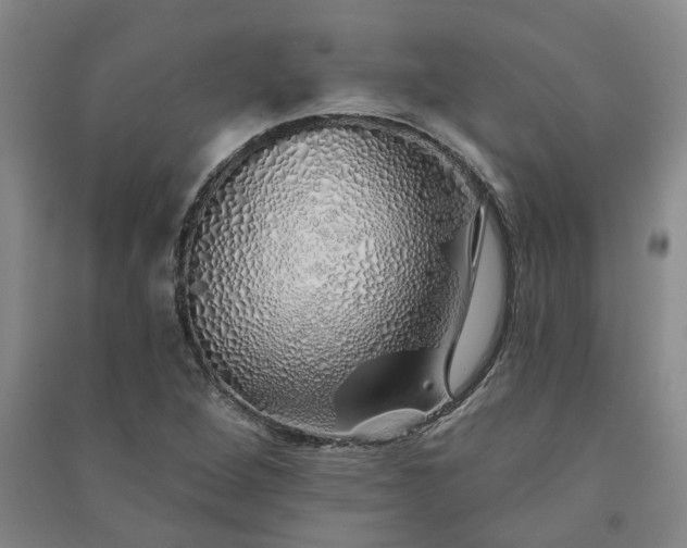 X0000091371264200708171537