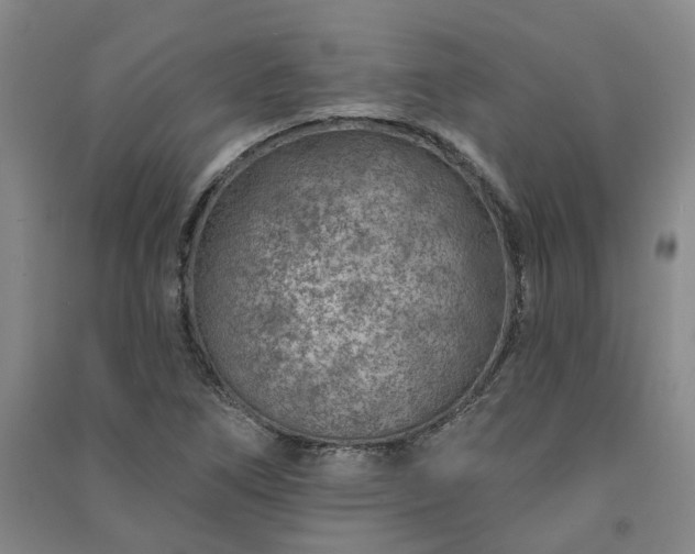 X0000091371266200708171537