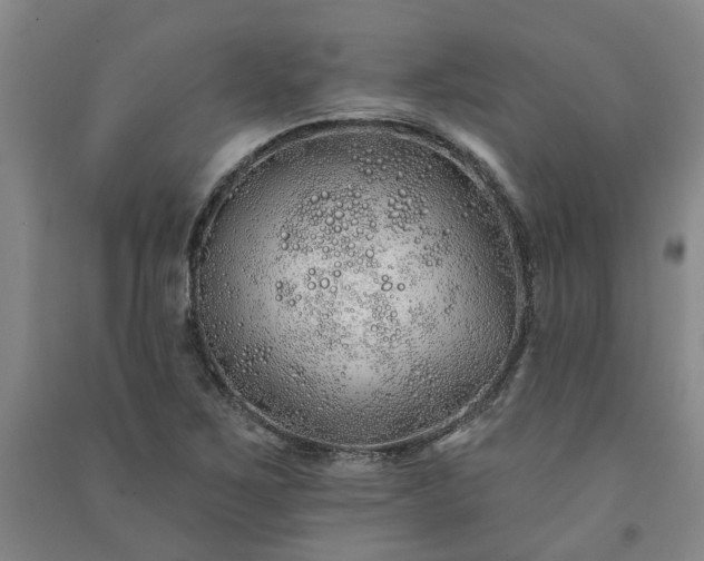 X0000091371267200708171537