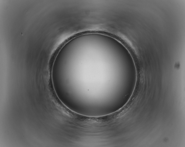 X0000091371270200708171537