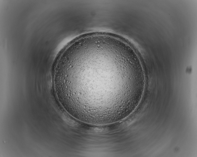 X0000091371271200708171537