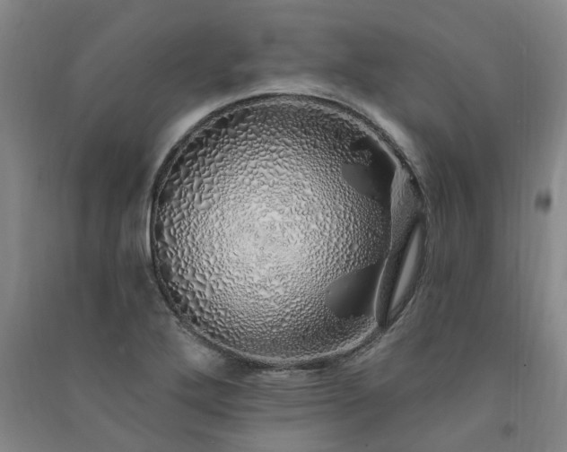 X0000091371272200708171537