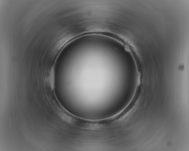 X0000091371273200708171537