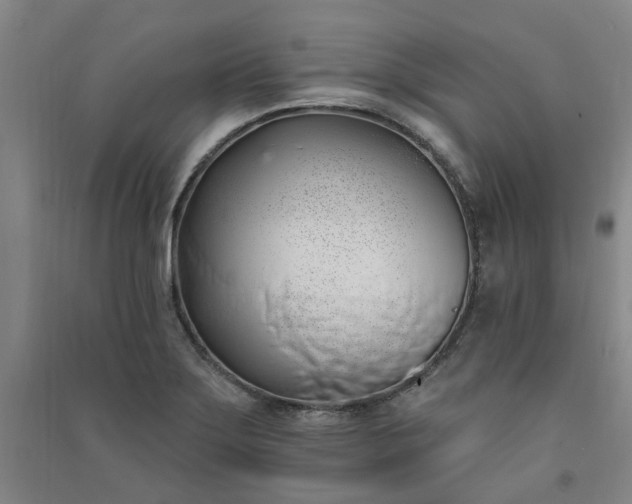 X0000091371275200708171537