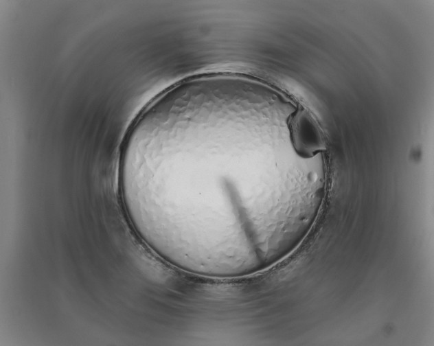 X0000091371276200708171537