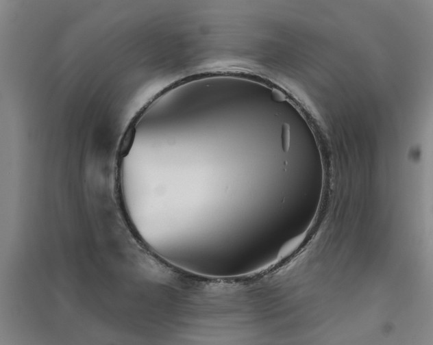 X0000091371277200708171537