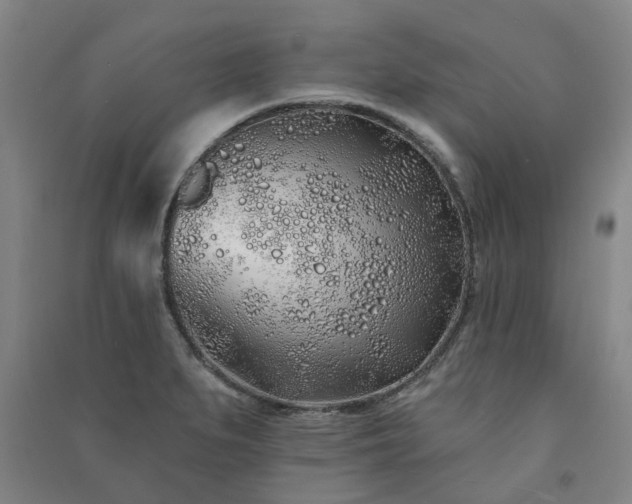 X0000091371279200708171537