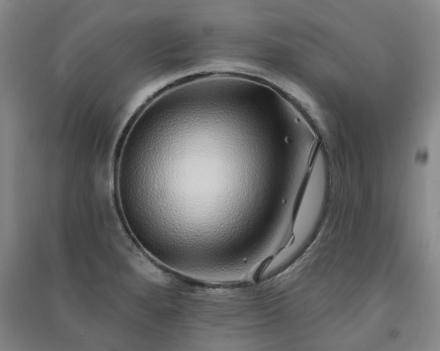 X0000091371280200708171537