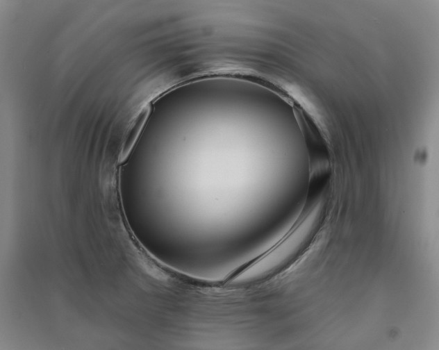 X0000091371281200708171537