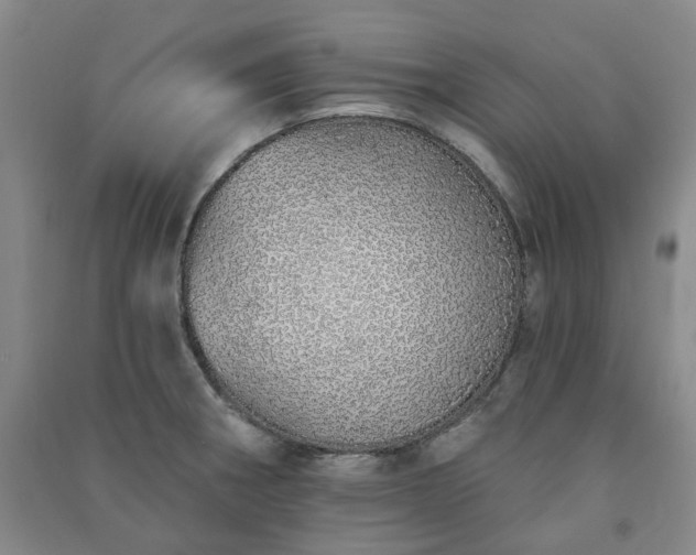 X0000091371282200708171537