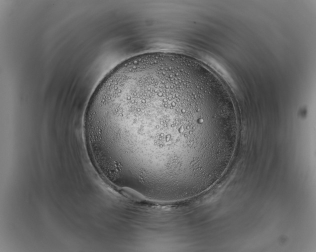 X0000091371283200708171537