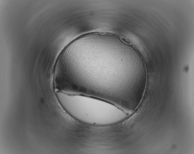 X0000091371284200708171537