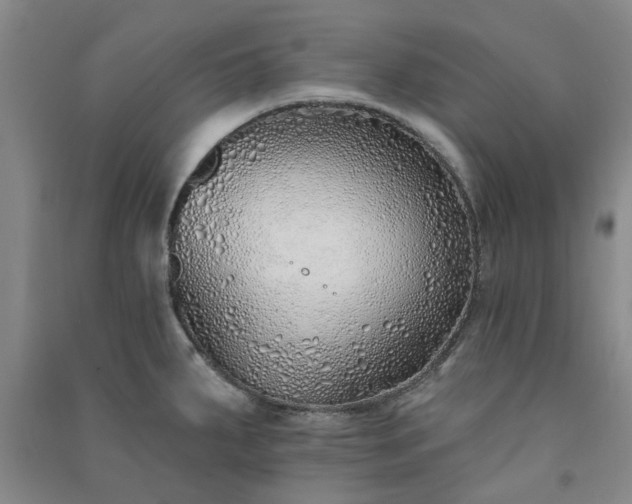 X0000091371287200708171537