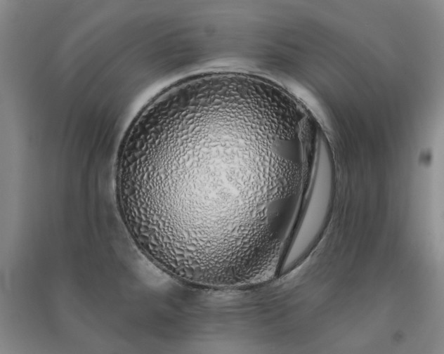 X0000091371288200708171537