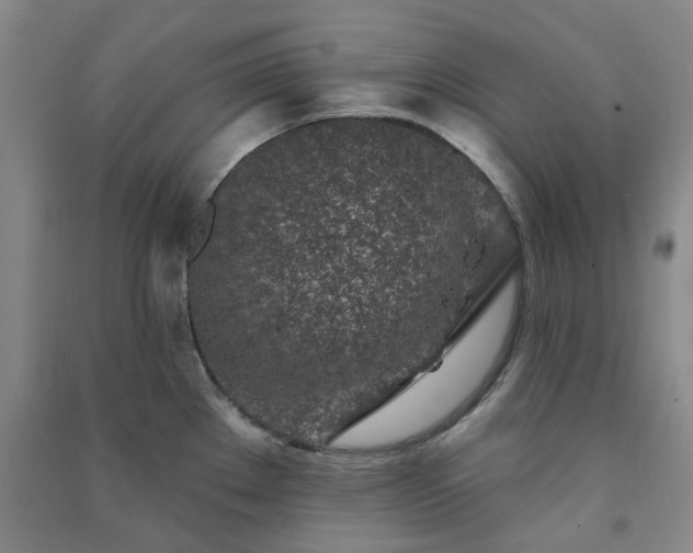 X0000091371289200708171537