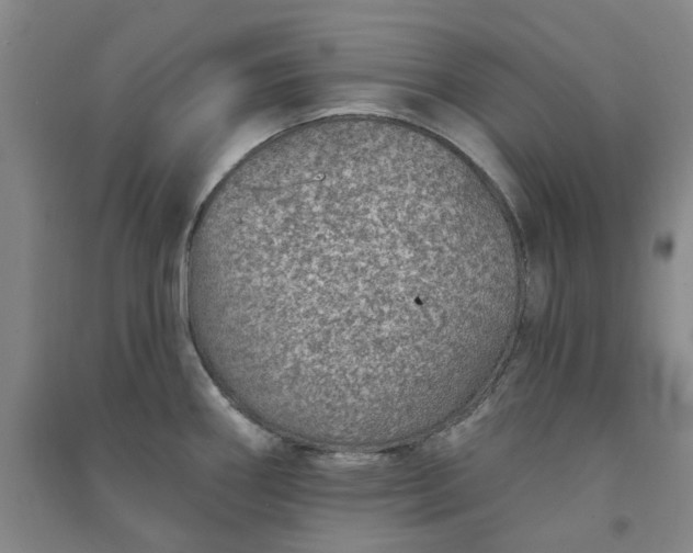 X0000091371290200708171537