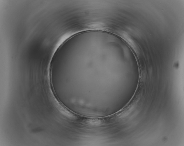 X0000091371291200708171537