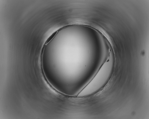 X0000091371293200708171537