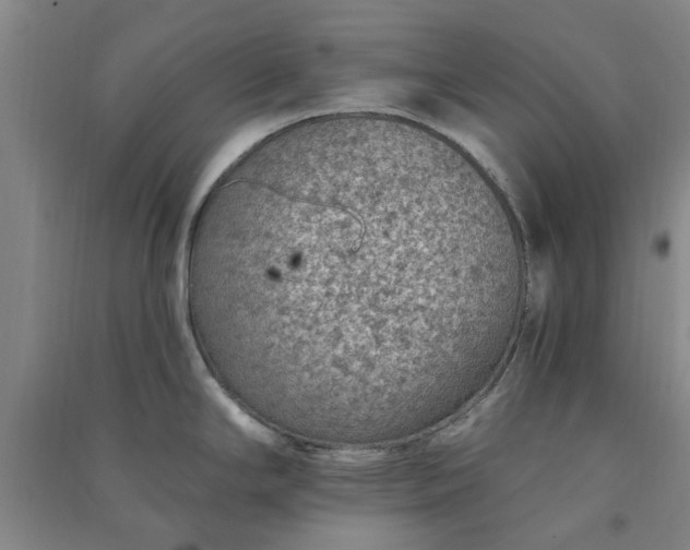 X0000091371294200708171537