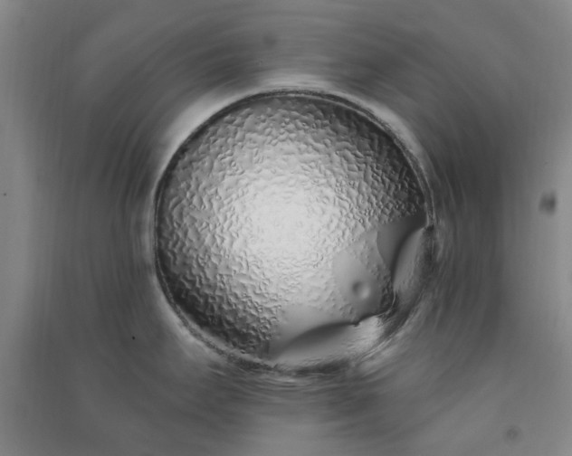 X0000091371295200708171537