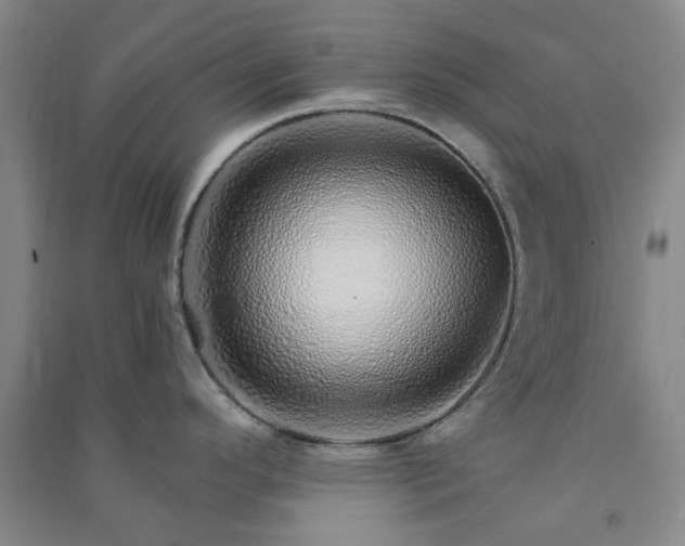 X0000091371296200708171537