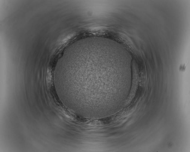 X0000091371298200708171536