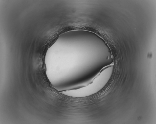 X0000091371300200708171536