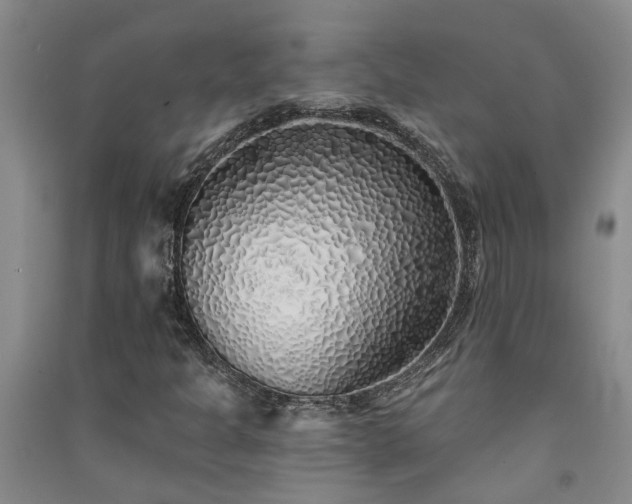 X0000091371301200708171536