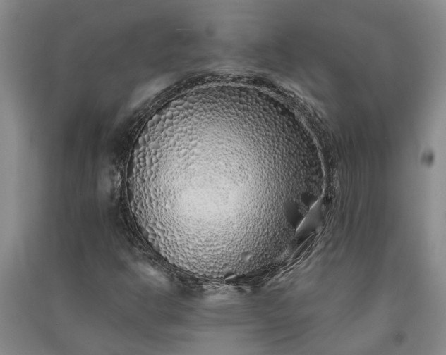 X0000091371302200708171536