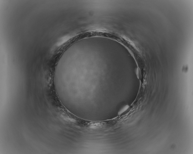 X0000091371303200708171536