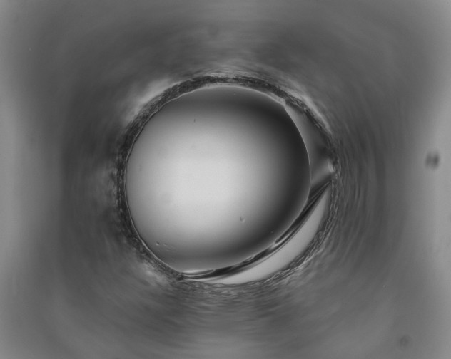 X0000091371304200708171536