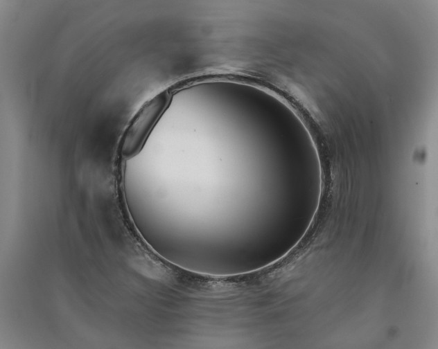 X0000091371308200708171536