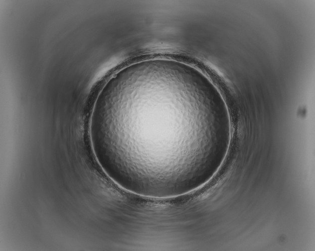 X0000091371309200708171536