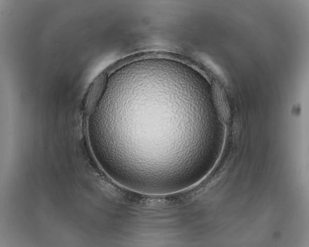 X0000091371310200708171536