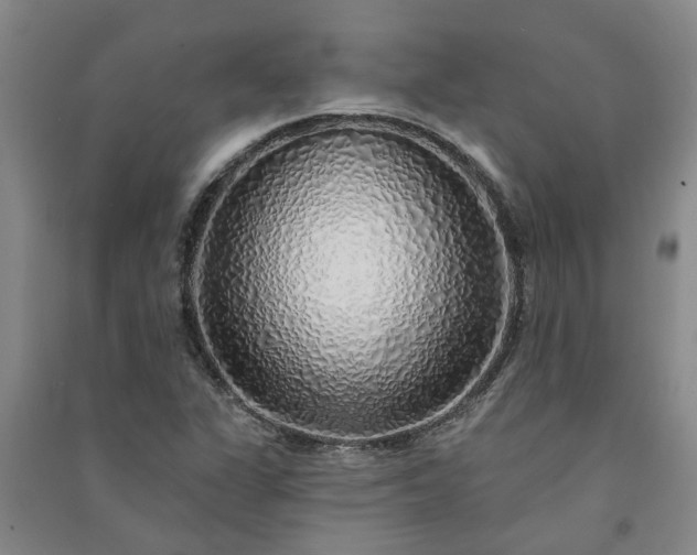 X0000091371311200708171536