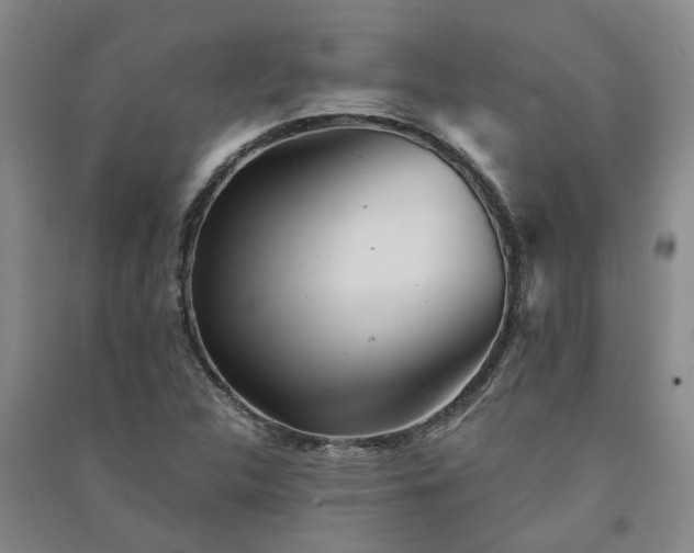 X0000091371312200708171536