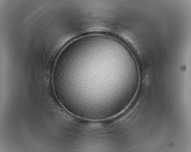 X0000091371313200708171536