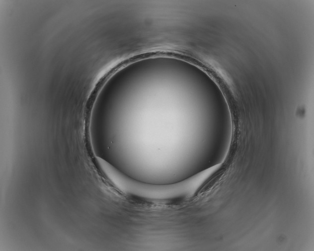 X0000091371316200708171536