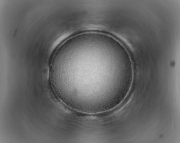 X0000091371317200708171536