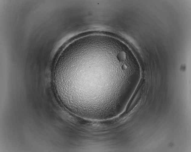 X0000091371318200708171536