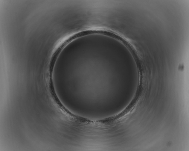 X0000091371319200708171536