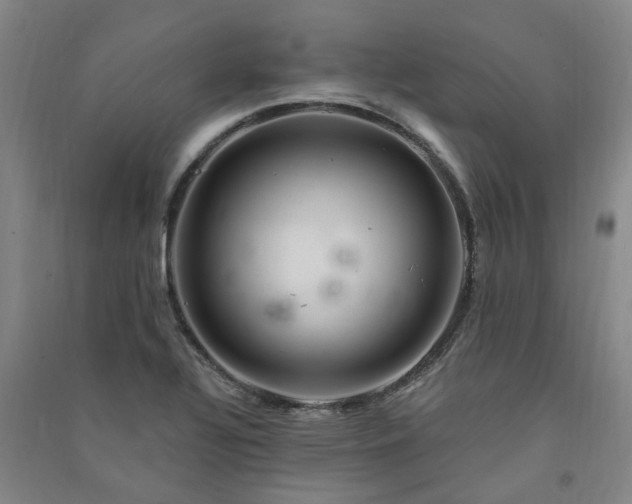 X0000091371320200708171536