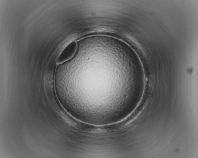 X0000091371321200708171536