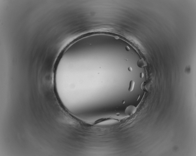 X0000091371324200708171536