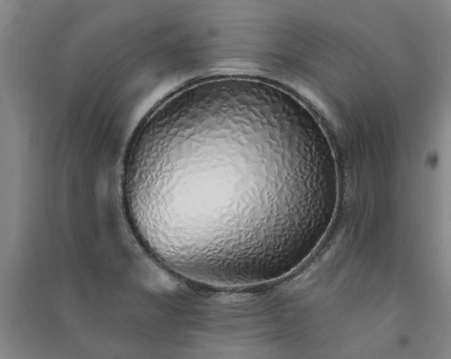 X0000091371325200708171536