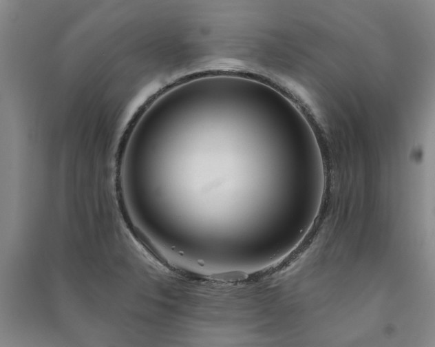 X0000091371326200708171536